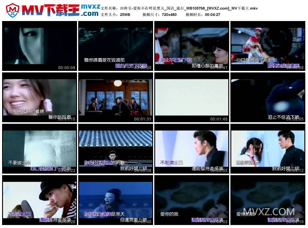 田梓呈-爱你不在呼是黑天_国语_流行_MB105768